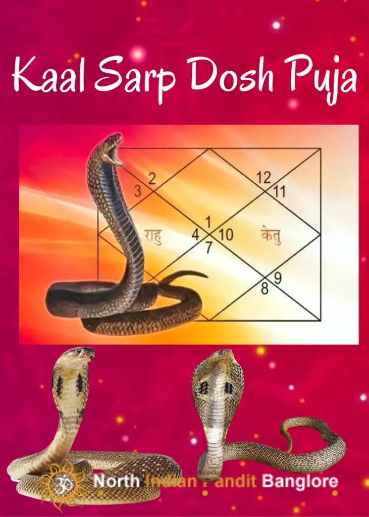 Kaal Sarp Dosh Puja ceremony in Bangalore