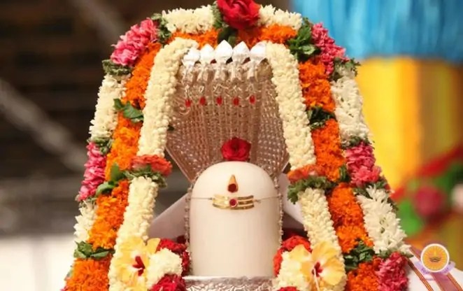 Rudrabhishek Puja ceremony performed in Bangalore